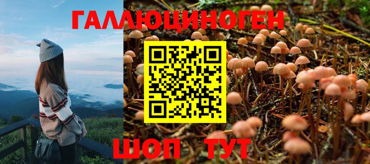 Псилоцибиновые грибы MAGIC MUSHROOMS Когалым