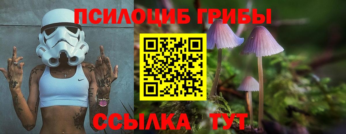 где найти   Псилоцибиновые грибы Magic Shrooms  Вход с VPN  Когалым  Галлюциногенные грибы GOLDEN TEACHER 