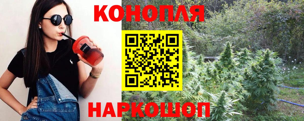 Бошки марихуана план  Бошки Шишки тримм  Бошки Шишки White Widow  Когалым  Вход с VPN 